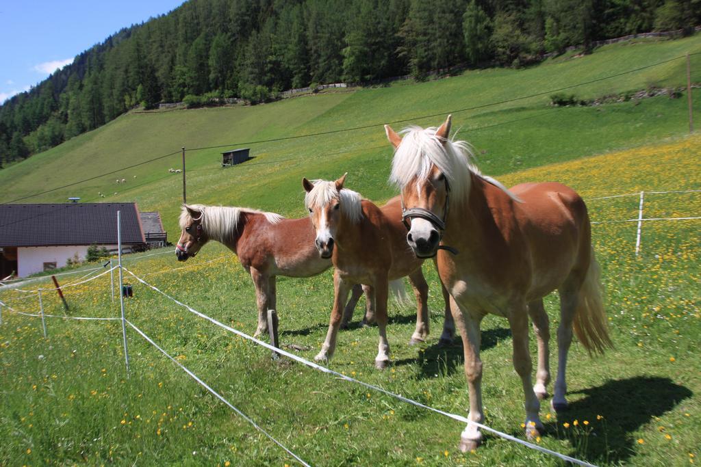Villa Omesbergerhof à Neustift im Stubaital Extérieur photo